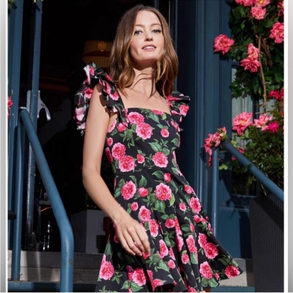 Alice and Olivia Floral Mini Dress